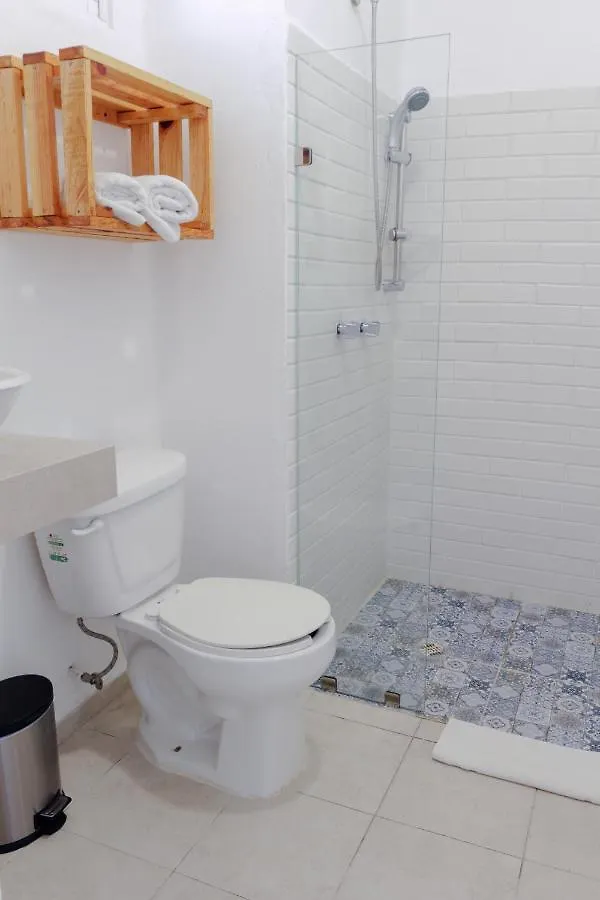 Hotel Lucky Duck Pj Cancún