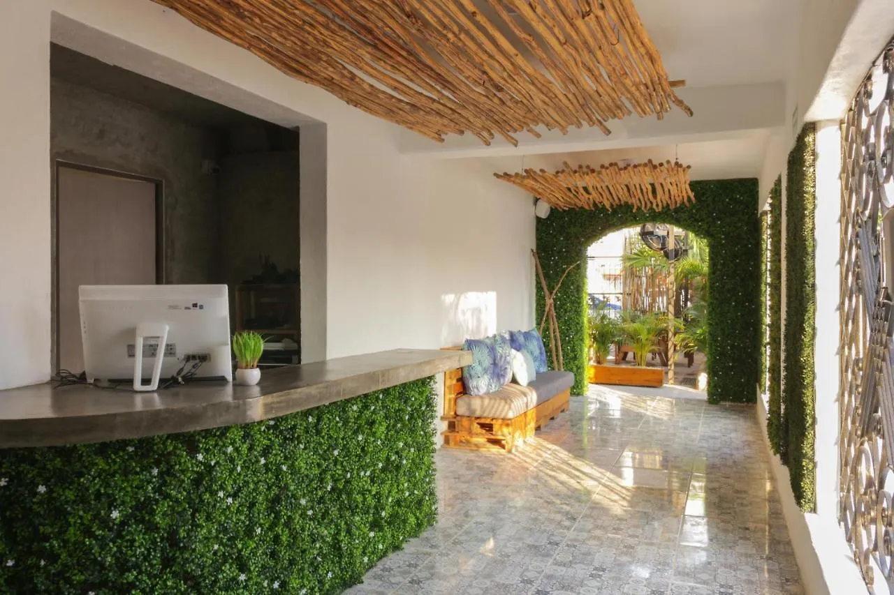Lucky Duck Pj Hotel Cancun