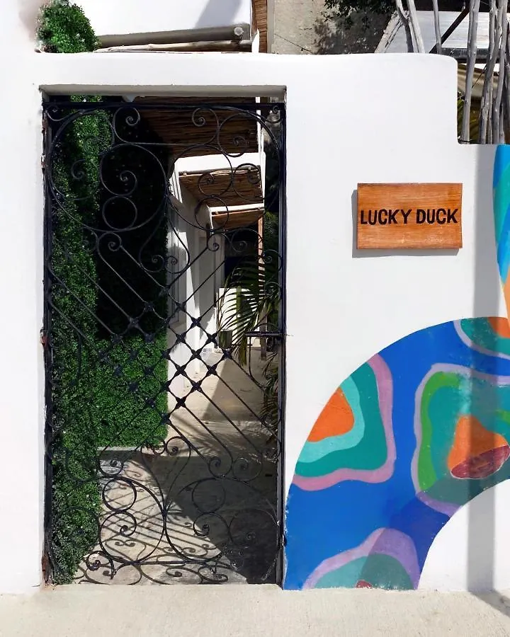 Hotel Lucky Duck Pj Cancún