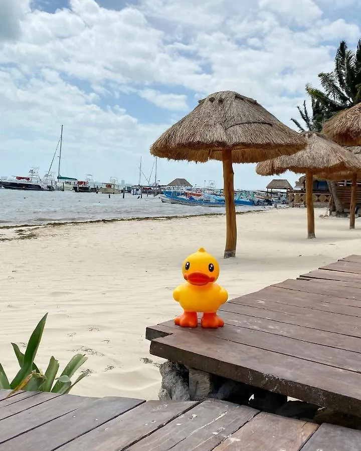 ***  Hotel Lucky Duck Pj Cancún Messico