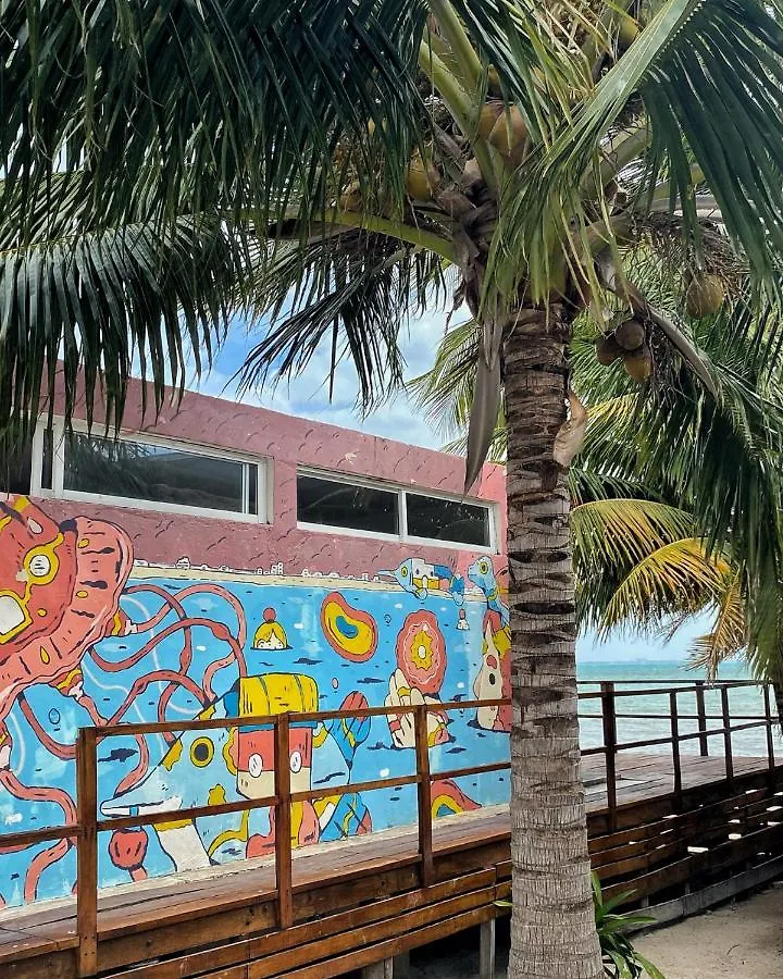 Hotel Lucky Duck Pj Cancún