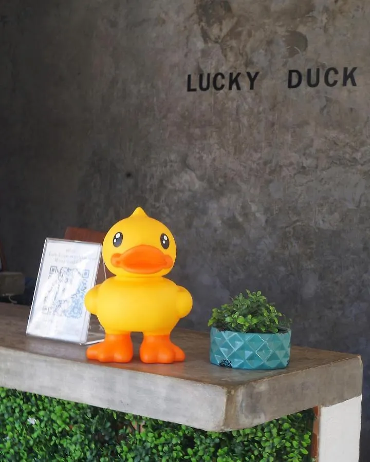 Hotel Lucky Duck Pj Cancún